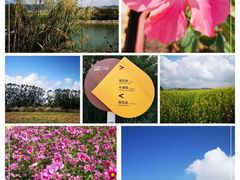 -光明小镇欢乐田园