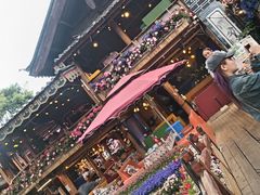 -雀舞云南菜(天津天河城购物中心店)