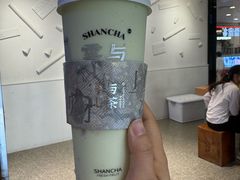 -雾与山茶(大禹城店)