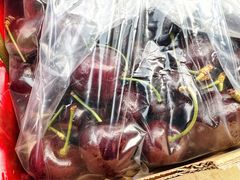 -众彩物流水产市场