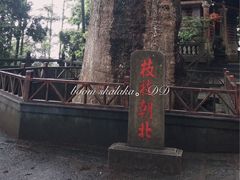 -安溪清水岩
