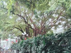 -广州市第一人民医院(院本部)