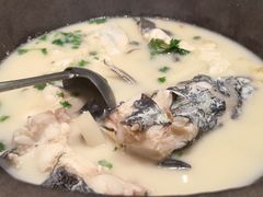 -鲜潭蒸汽石锅鱼(五道口购物中心店)