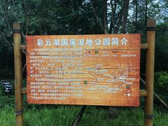 -重庆彩云湖湿地公园