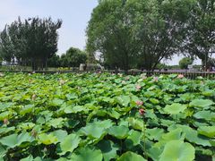 -渔岛海洋度假区