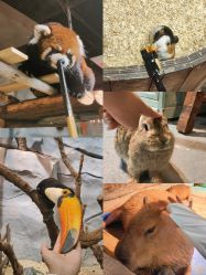 -Zoolung Zoolung动物主题公园(海信广场店)