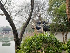 -西溪国家湿地公园