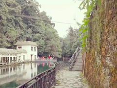 -云南屏边大围山国家公园