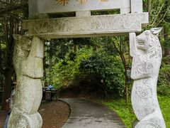 -四明山国家森林公园