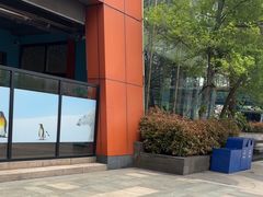 -海合安武汉极地海洋公园