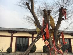 -西安汉城湖景区