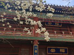 -潭柘寺景区