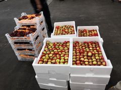 -西郊国际农产品交易中心