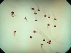 -沈阳海洋探索中心