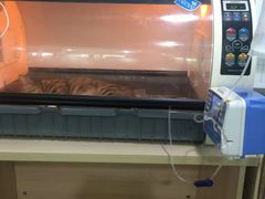 -瑞派宠物医院(锦江店)