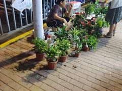 -利群海琴购物广场(商丘路店)