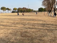 -漕湖湿地公园