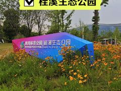 -桂溪生态公园