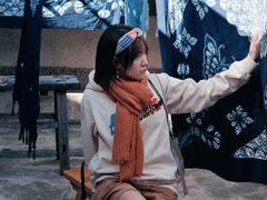 -璞真扎染博物馆