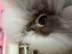 -北京观赏动物医院·24小时大型综合·猫专科·异宠专科