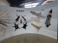 -肃宁华斯国际裘皮城