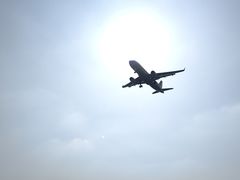 -空港花田景区