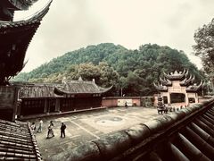 -南山植物园