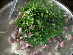 -小杨翘脚牛肉
