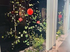-隐溪茶馆(金虹桥店)