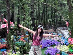 -洛阳白云山景区