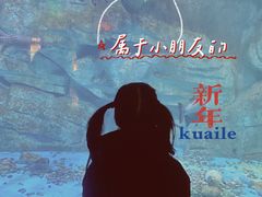 -泉城欧乐堡海洋极地世界