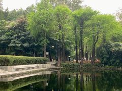 -晓港公园