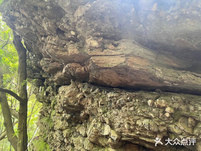 徐福公园图片