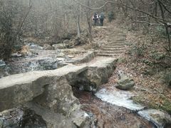 -东白山