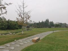-夏河溪乡野公园