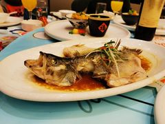 -同庆楼(天鹅湖万达店)