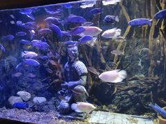 -华夏文旅海洋公园