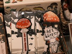 -橡皮书店(翠湖北路店)