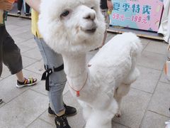 -大连森林动物园