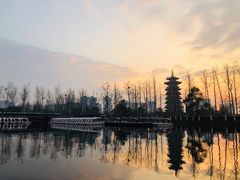 -洋湖国家湿地公园
