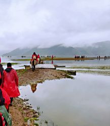 -纳帕海依拉草原