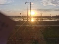 -二一九公园