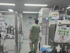-达爱动物医院·犬猫分区·CT·复杂眼科(远洋山水分院)