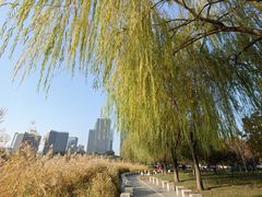 -西海子公园
