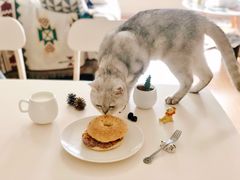 -81bakery(关山路店)