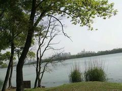 -蠡湖中央公园