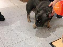 -FAELING PETS美天灵宠物(富力广场店)