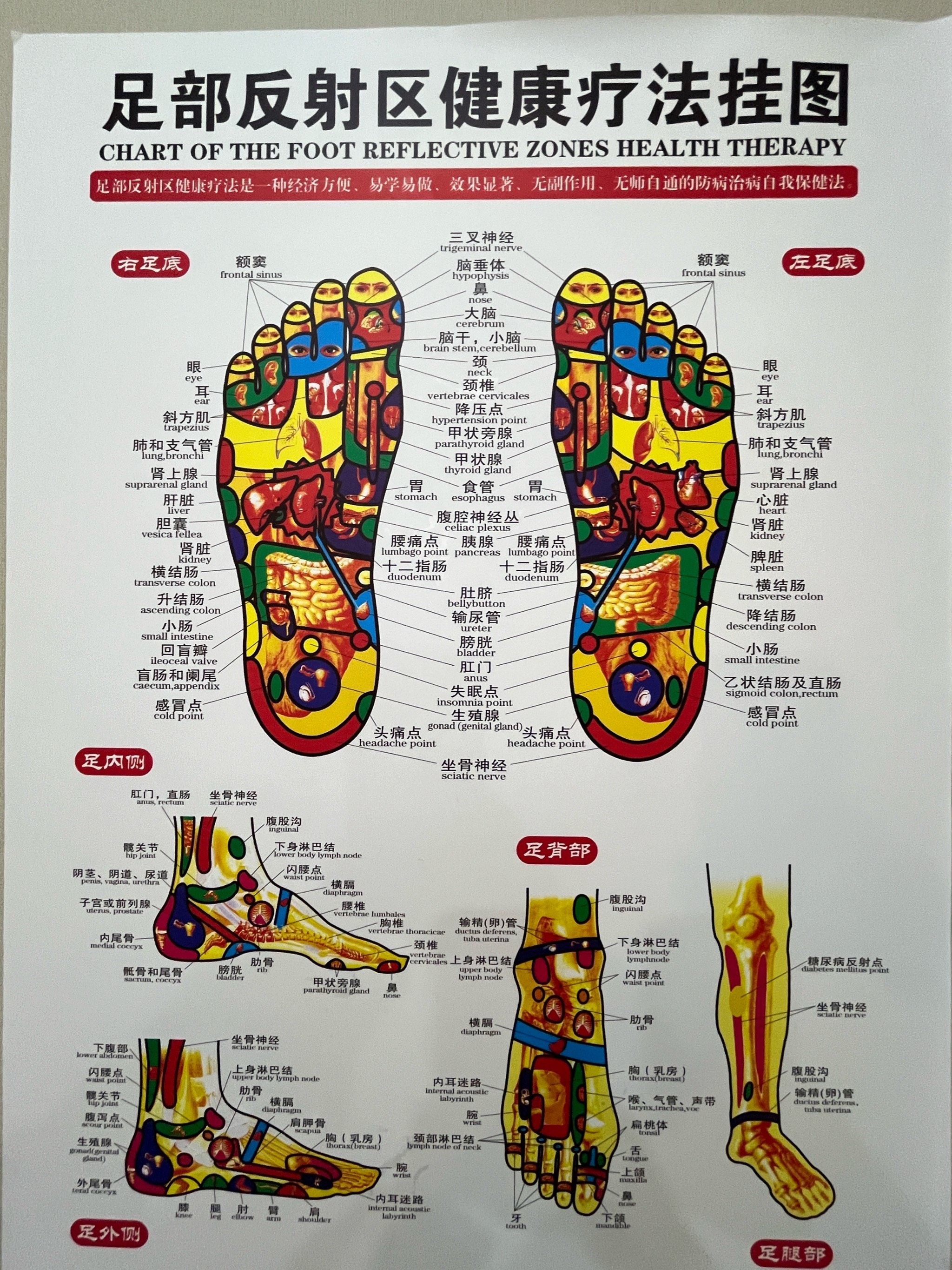 足底按摩手法口诀步骤图片