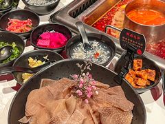 -鼎膳常火锅(华阳店)