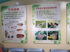 -上海昆虫博物馆